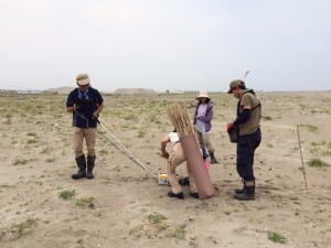 IMG_1484