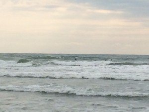 IMG_1682
